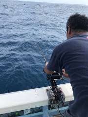 ことぶき丸 釣果