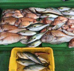 利弥丸（としやまる） 釣果