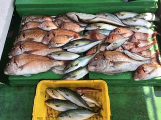 利弥丸（としやまる） 釣果