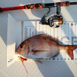 フルコンタクト 釣果