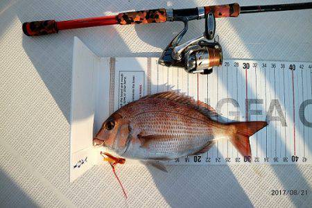 フルコンタクト 釣果