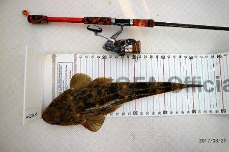 フルコンタクト 釣果