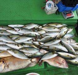 利弥丸（としやまる） 釣果