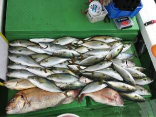 利弥丸（としやまる） 釣果