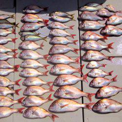 来温丸（らいおんまる） 釣果