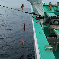 モンロー号 釣果