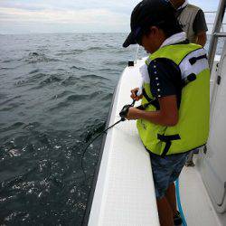 フルコンタクト 釣果