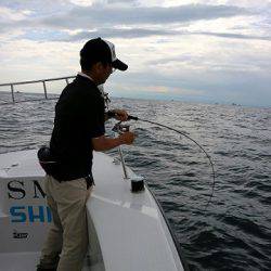 フルコンタクト 釣果