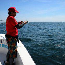 フルコンタクト 釣果