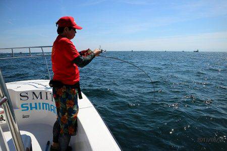 フルコンタクト 釣果