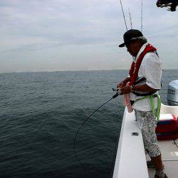 フルコンタクト 釣果