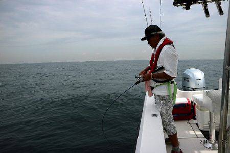 フルコンタクト 釣果