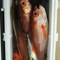 モンロー号 釣果