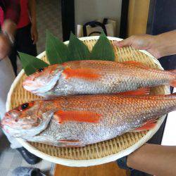 モンロー号 釣果