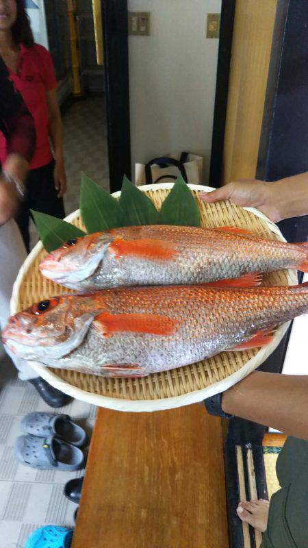 モンロー号 釣果