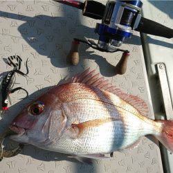 マタウマリンサービス 釣果