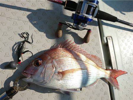 マタウマリンサービス 釣果
