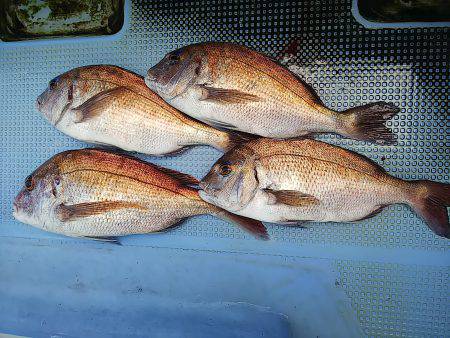 第二常豊丸 釣果