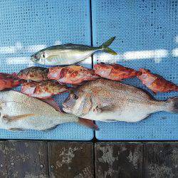 第二常豊丸 釣果