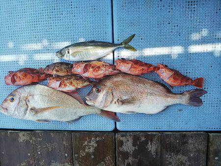 第二常豊丸 釣果