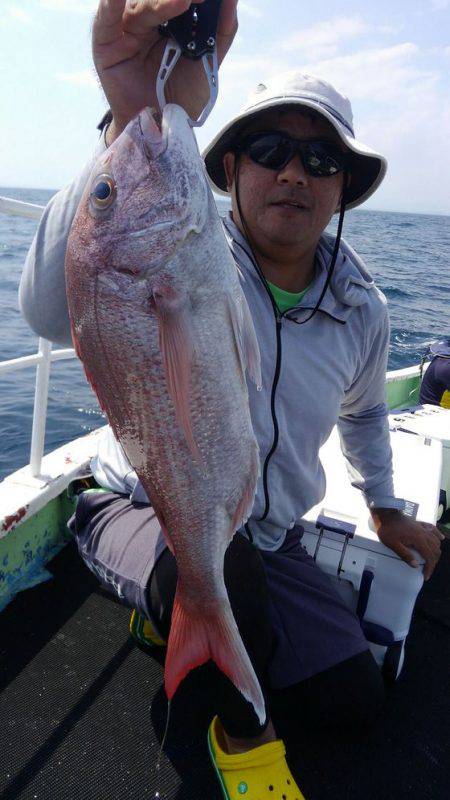 遊漁船 新鋭丸 釣果