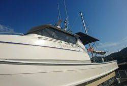 Fisherman Dreams DI 釣果