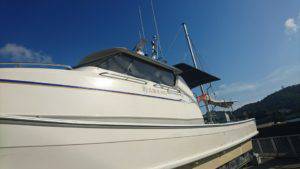 Fisherman Dreams DI 釣果