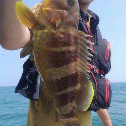 遊漁船 新鋭丸 釣果