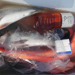 遊漁船 新鋭丸 釣果