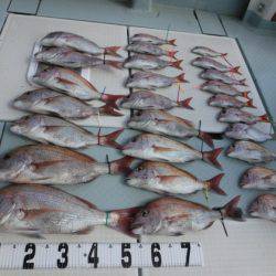 遊漁船 幸友丸 釣果