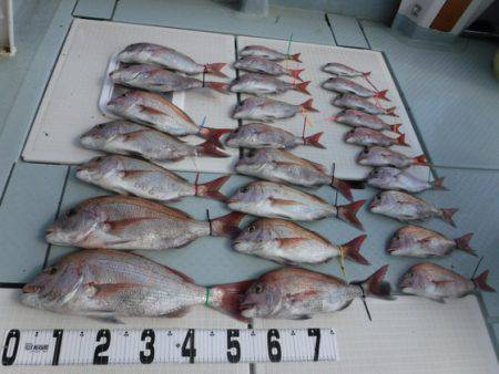 遊漁船 幸友丸 釣果