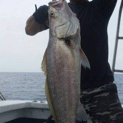 第五慶門丸 釣果