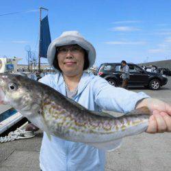 大進丸(新潟) 釣果
