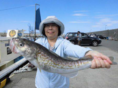大進丸（新潟） 釣果