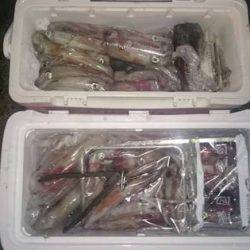 寿裕 （YOSHIHIRO） 釣果