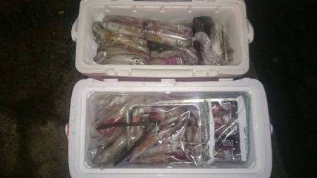 寿裕 （YOSHIHIRO） 釣果