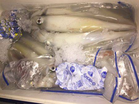 幸風（さちかぜ） 釣果