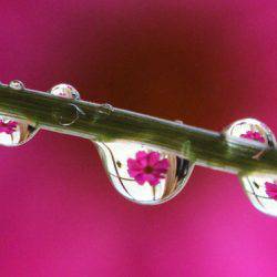 小菅トラウトガーデン 釣果