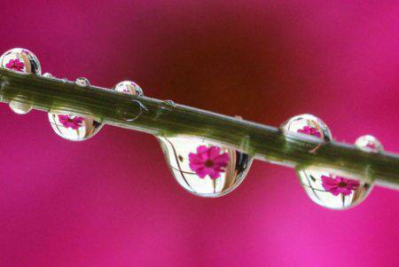 小菅トラウトガーデン 釣果