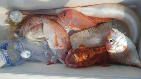 遊漁船 新鋭丸 釣果