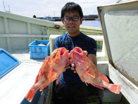 大進丸（新潟） 釣果