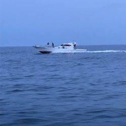 へいみつ丸 釣果