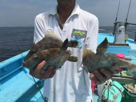 おざき丸 釣果