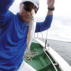 かもめ釣船 釣果