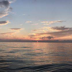 寿裕 （YOSHIHIRO） 釣果