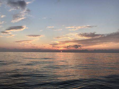 寿裕 （YOSHIHIRO） 釣果