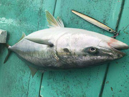 広進丸 釣果