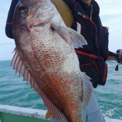 遊漁船 新鋭丸 釣果