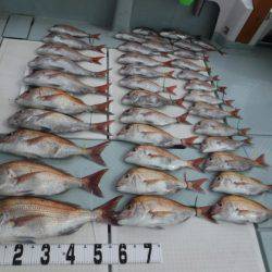 遊漁船 幸友丸 釣果