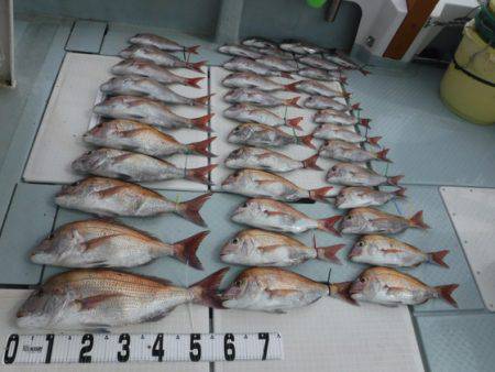 遊漁船 幸友丸 釣果